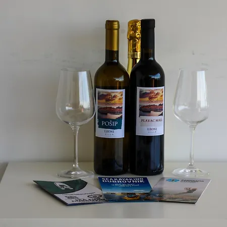 Leoni Apartment Dubrovnik